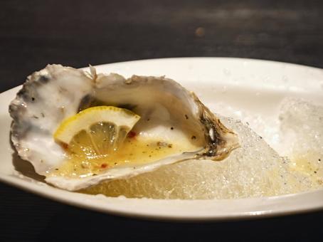 氷上に光る海の真珠 牡蠣,グルメ,海鮮の写真素材