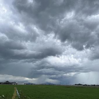 雨柱 雨柱の写真