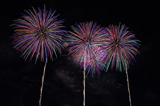 25年長岡まつり 花火 25年長岡まつり 花火の写真