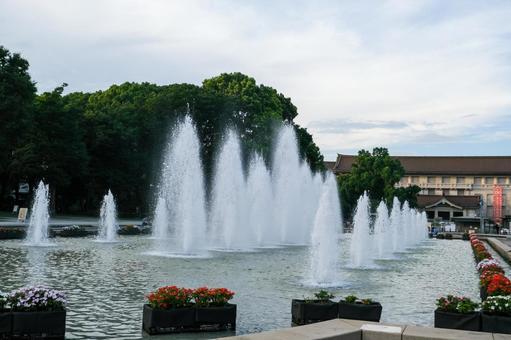 上野恩賜公園の噴水広場 上野恩賜公園,上野,噴水の写真素材
