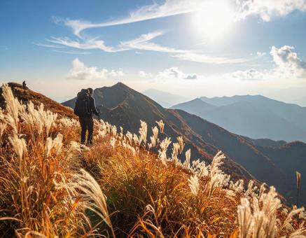紅葉の稜線とススキ、登山者の風景 紅葉の稜線とススキ、登山者の風景の写真