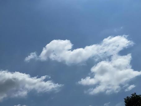 空に雲 空に雲の写真
