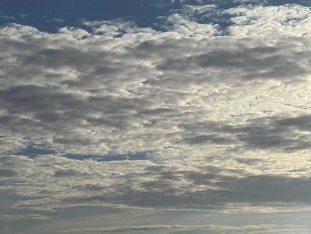 【風景写真】夏空の写真
