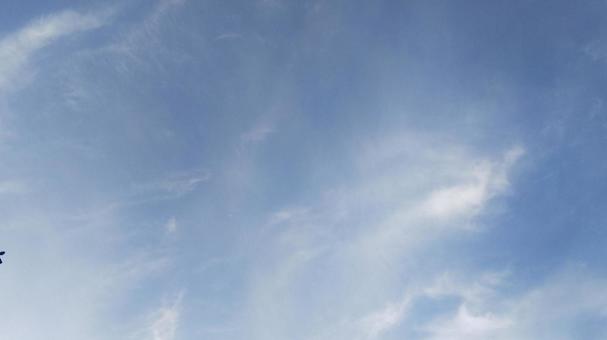 青空 青空の写真
