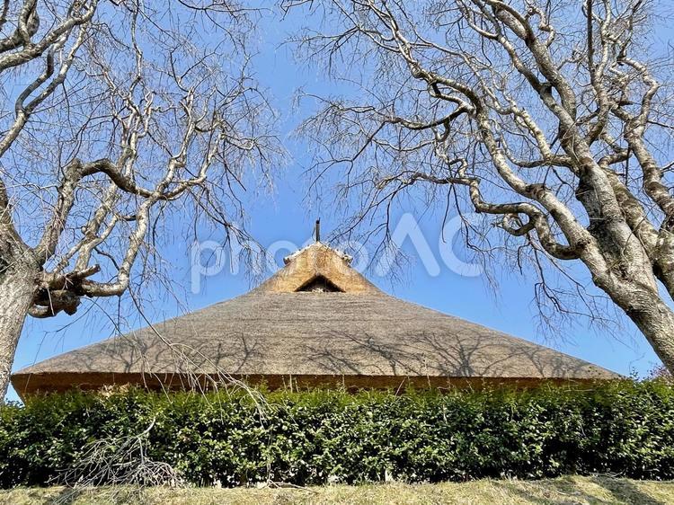 奈良　大和民族公園　茅葺屋根と冬木 茅葺屋根,冬木,青空の写真素材