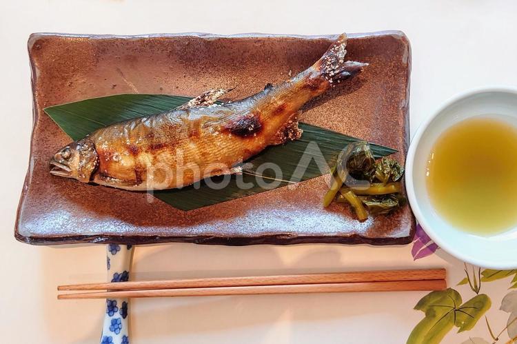 鮎の塩焼き（美味しい日本料理） 鮎,魚料理,焼き魚の写真素材
