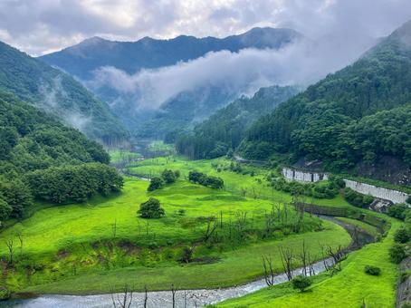雨上がりの湯西川　幻想的な風景 湯西川,湯西川ダム,枯れ木の写真素材