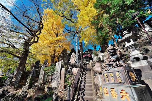 成田山新勝寺　江戸ブロンズ狛犬と紅葉 成田山,新勝寺,江戸ブロンズ狛犬の写真素材