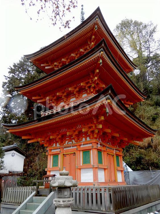  竹生島　宝厳寺　三重塔 宝厳寺,三重塔,竹生島の写真素材