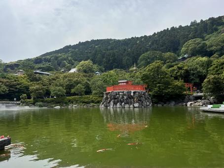 勝尾寺 勝尾寺の写真