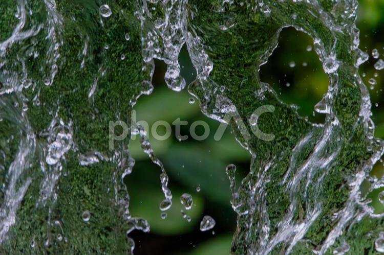 飛び散る水の躍動感 水,しぶき,透明の写真素材