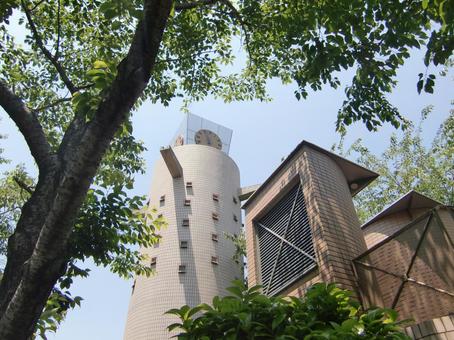 五月の緑風景-19 五月,緑,風景の写真素材