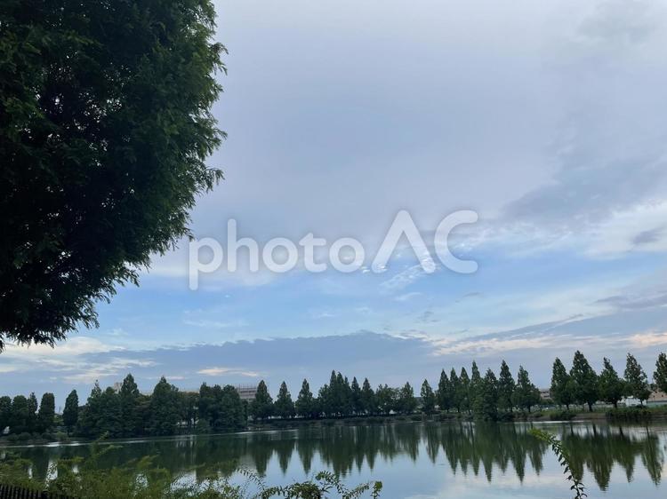 丸い木と空と水面 風景,木,空の写真素材