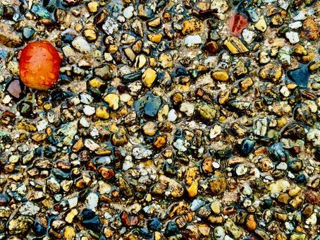 どんぐり　コピースペース どんぐり,木の実,秋の写真素材