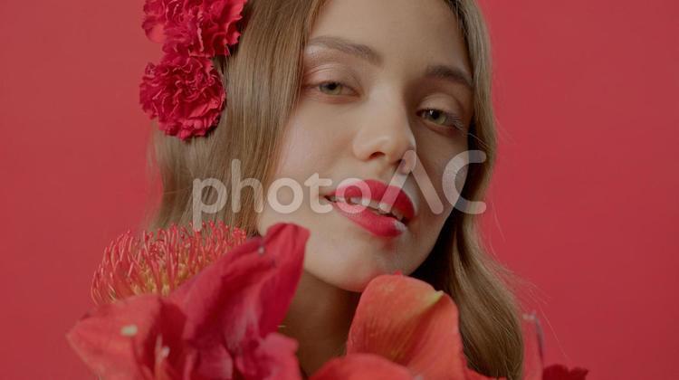 赤い花に囲まれたカメラ目線の女性 女性,花,ピンクッションの写真素材