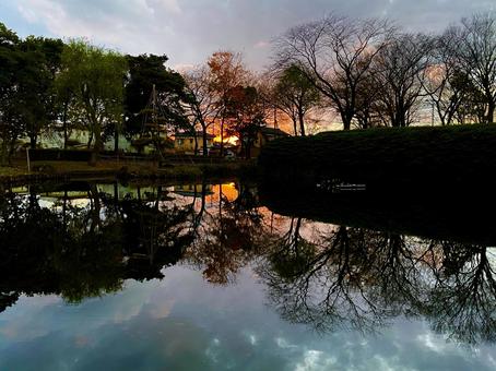 Photo, সূর্যাস্ত, পুকুর, জল মিরর, 