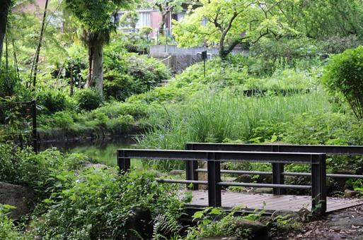 里山の橋 里山の橋の写真