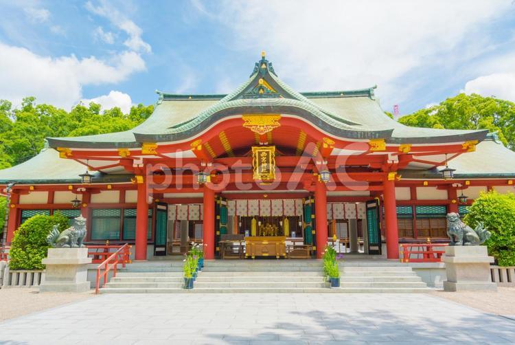西宮神社の景観 えびす神社,えべっさん,神社仏閣の写真素材
