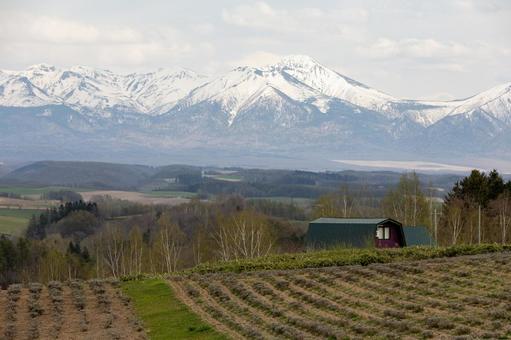 GW明けの雪化粧の山と丘2 GW明けの雪化粧の山と丘2 美瑛,上富良野,深山峠の写真素材
