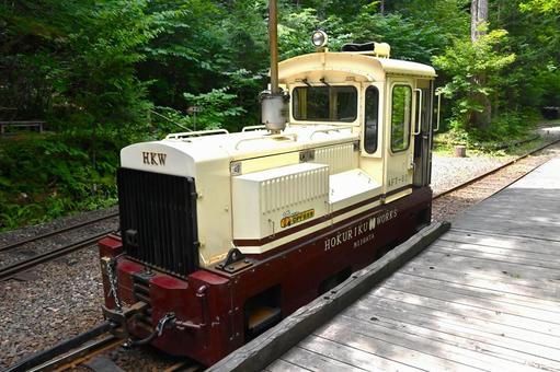 Photo, akazawa forest railway, locomotive, akazawa natural recreation forest, 