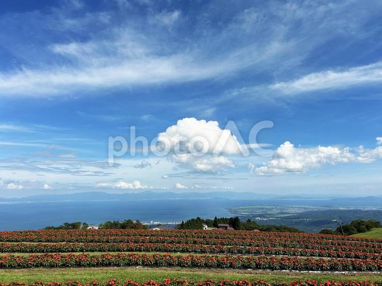 箱館山から見る風景 空,箱館山,眺望の写真素材