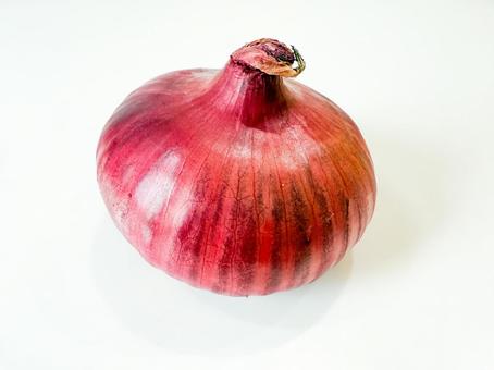 紫玉ねぎ 紫玉ねぎの写真