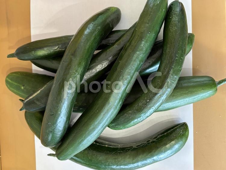 きゅうり　家庭菜園 きゅうり,野菜,家庭菜園の写真素材