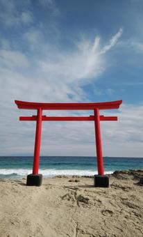 伊豆 海と鳥居 伊豆 海と鳥居 鳥居,海,海辺の写真素材