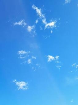 青空 青空の写真