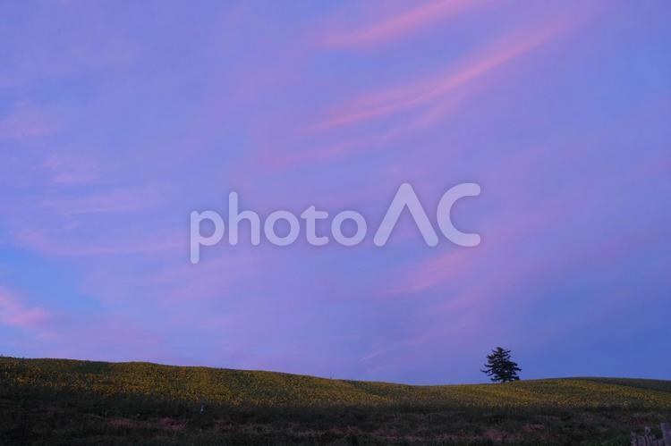 静かな夕暮れ 夕暮れ,夕暮れ時,空の写真素材