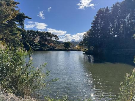 晩秋の小坂田池（長野県塩尻市） 小坂田池,池,pondの写真素材