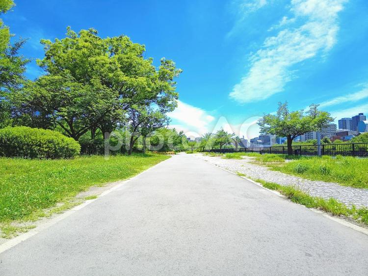 桜之宮公園（大川）27 桜之宮公園,桜之宮,公園の写真素材