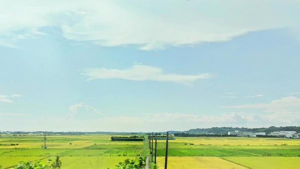 夏の風景 夏の風景の写真