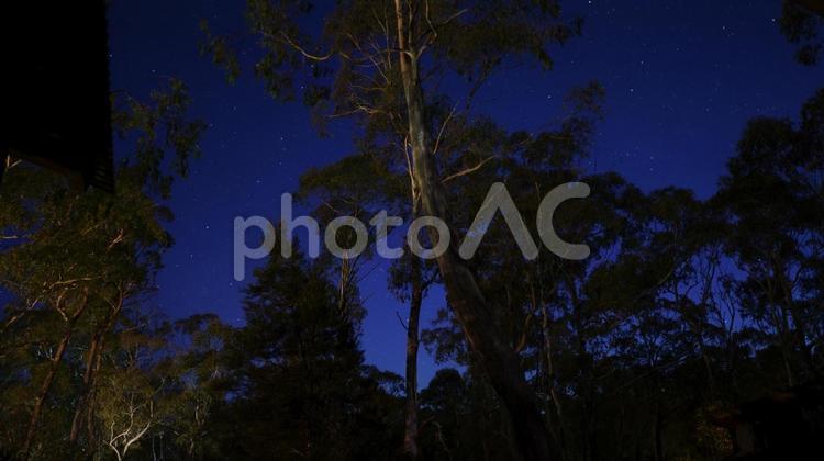 森の中の星空 夜空,自然,星空の写真素材