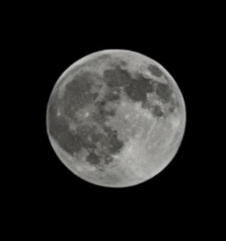 満月　スーパームーン 満月,スーパームーン,夜空の写真素材