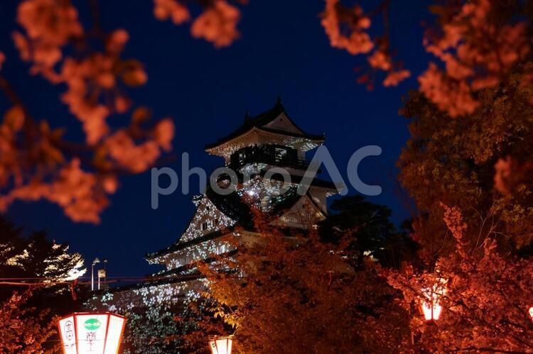 高知城と夜桜　 高知城,夜桜,桜の写真素材