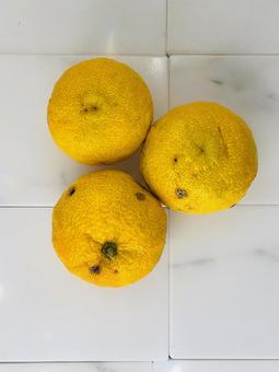 ゆず3個 ゆず,柚,冬の写真素材