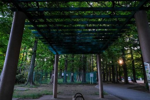 別所沼公園の風景 別所沼公園,公園,森林の写真素材