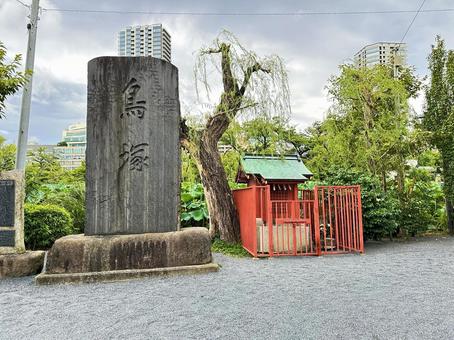 上野公園 東京都台東上野 上野公園 東京都台東上野の写真