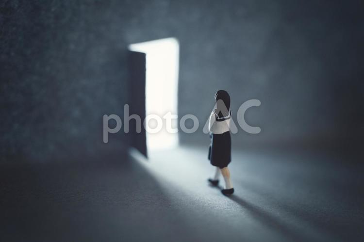 扉と女子学生の後ろ姿 女子,女子高生,合格の写真素材
