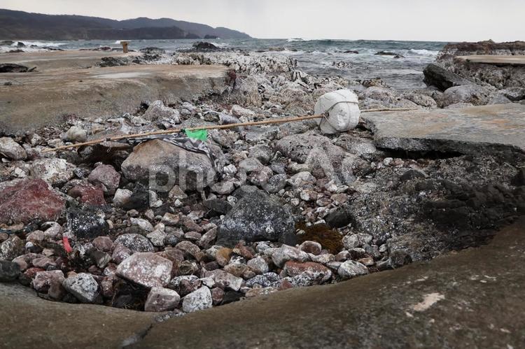 能登半島地震2カ月後の隆起した海岸 能登半島地震,能登地震,震災の写真素材