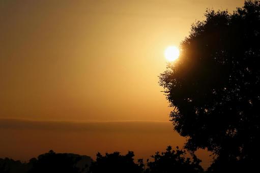 オレンジ色の朝靄の写真