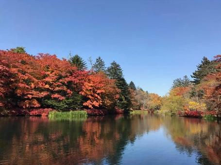 雲場池 雲場池,軽井沢,長野県の写真素材