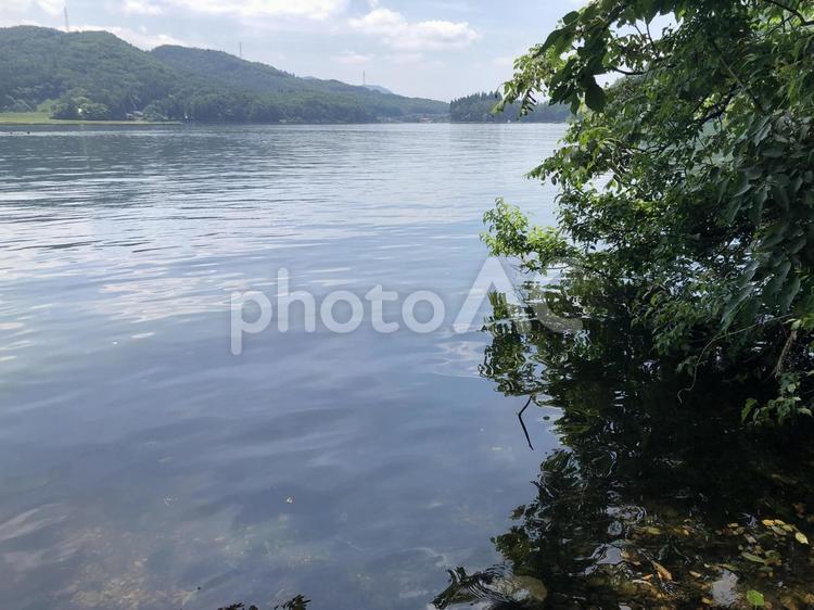 湖畔のキャンプ場　長野県 湖畔,キャンプ場,長野県の写真素材