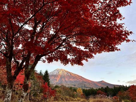 赤色に染まる紅葉と赤色に染まる富士山 富士山,紅葉,もみじの写真素材