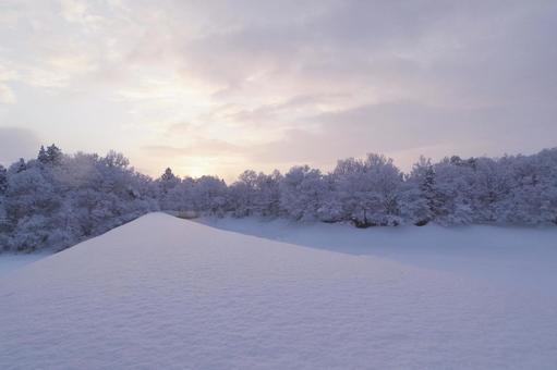 雪景色の朝 雪景色の朝 朝焼け,マジックアワー,スペースの写真素材