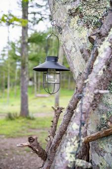 キャンプ場のライト キャンプ場のライト ライト,屋外,吊るすの写真素材
