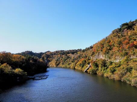 秋の笹川湖＆湖畔の紅葉（千葉県・君津市） 秋,笹川湖,紅葉の写真素材
