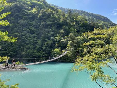 寸又峡　夢の吊り橋 吊り橋,夢の吊り橋,寸又峡の写真素材