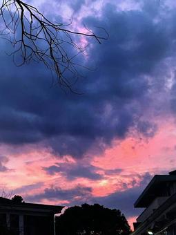 幻想的な雨上がり 幻想的な雨上がり 夕日,雨上がり,空の写真素材
